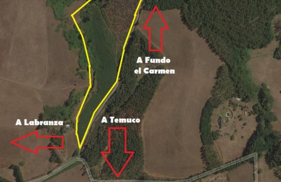 Se Venden 4 Hectareas Loteadas en 8 Parcelas Sector Trañi Trañi-Botrolhue Temuco