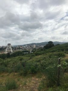 Se vende terreno ubicado en Padre las CasasTemuco