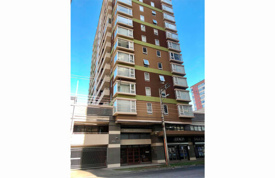 ARRIENDO DEPARTAMENTO A PASOS DEL CENTRO DE TEMUCO SECTOR LYNCH