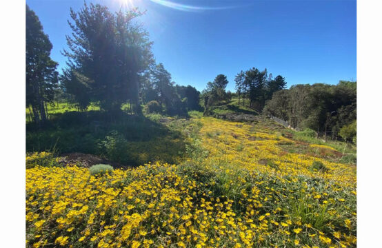 SE VENDE TERRENO CONDOMINIO LOMAS DEL CARMEN