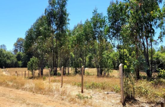 EN VENTA TERRENO DE 10000 M2 EN  LA COMUNA DE MAFIL