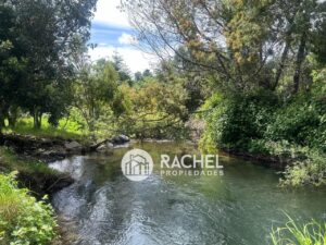 VENTA DE PRECIOSA PARCELA CON RÍO y ÁRBOLES NATIVOS EN PUCON. INMEJORABLE UBICACIÓNPucon