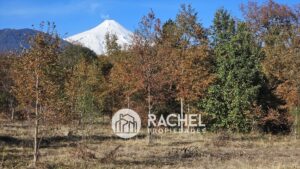Gran Oportunidad en Pucón Parcela en Venta con Potencial Comercial y HabitacionalPucon
