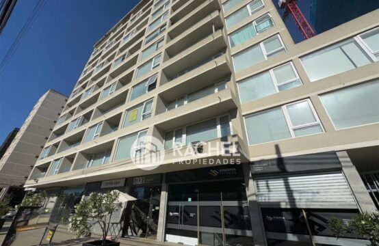 Se Arrienda lindo Departamento Studio