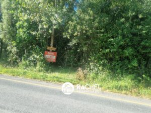 EN VENTA PARCELA A ORILLA DE CAMINO SECTOR MOLCO ALTOVillarrica