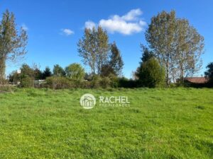 SE VENDE HERMOSA PARCELA DE 6.135 mts2 – Sector Camino BotrolhueTemuco