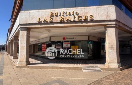 ARRIENDO GRAN LOCAL COMERCIAL &#8211; EDIFICIO LAS RAÍCES