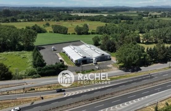 SE ARRIENDA GRAN BODEGA REMODELADA SOBRE RUTA 5- Sur/ Entrada Pillanlelbun