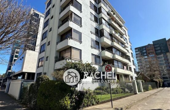 GRAN DEPARTAMENTO EN ARRIENDO SECTIR AVDA ALEMANIA